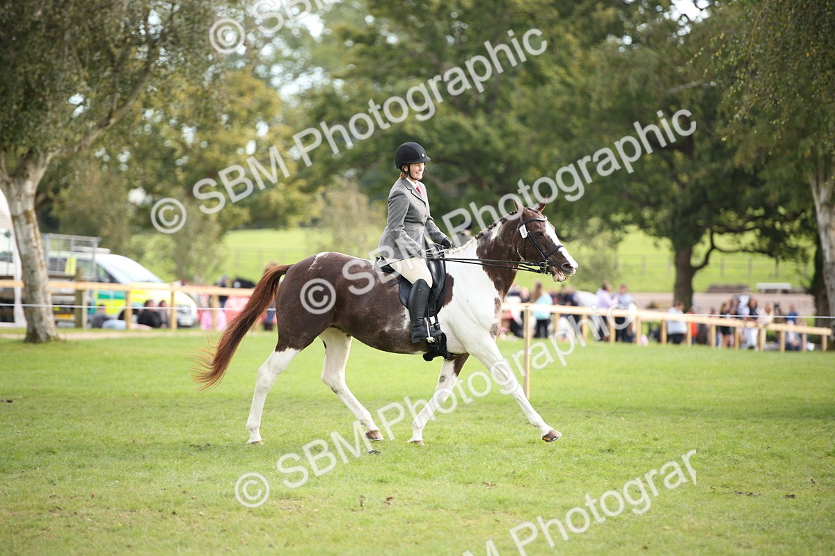 SBM_50195 - S26 - Young Veteran - Ridden