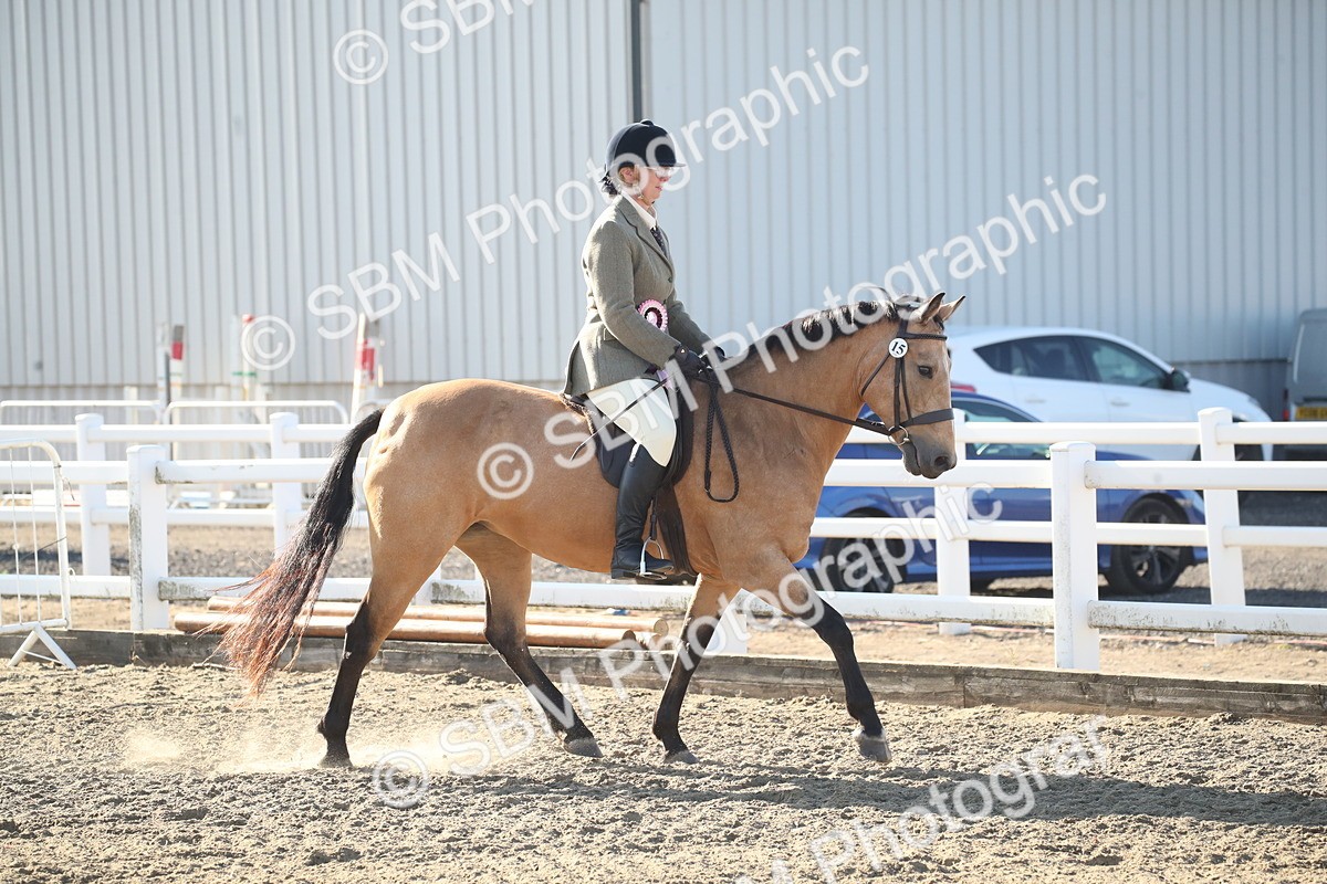 SBM_11608 - Class 502 - Riding Club Horse