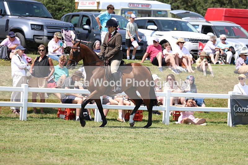 3E7A9416 - Class 12: Open Racehorse to Show Horse