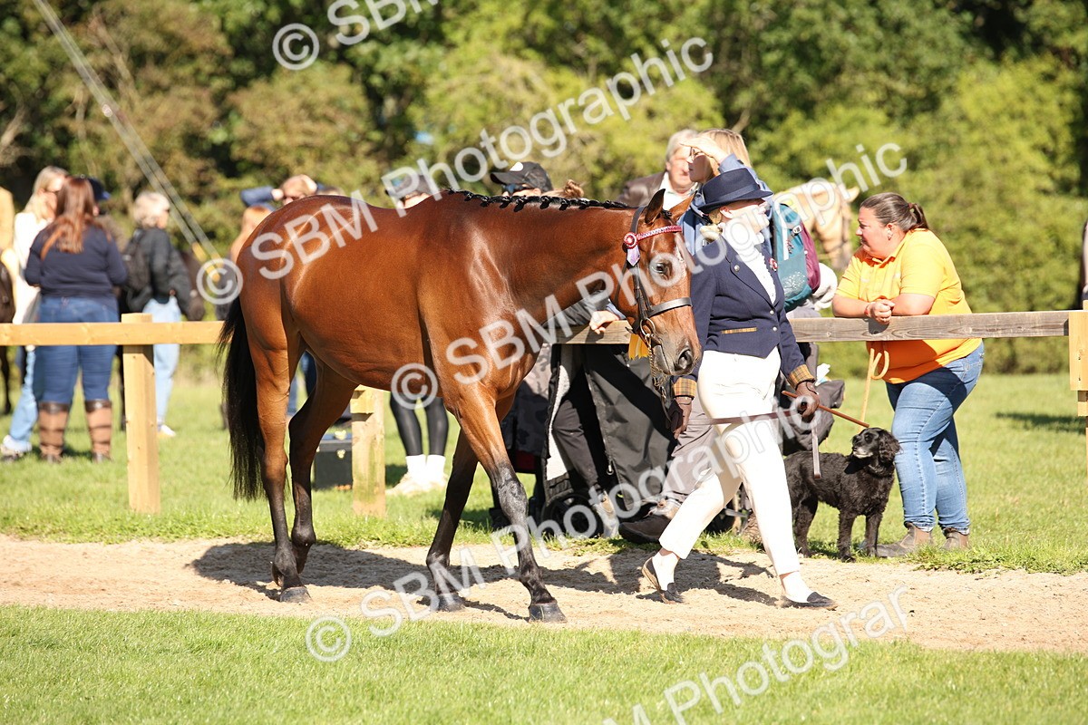 SBM_36666 - S10 - Best In Hand Horse & Pony