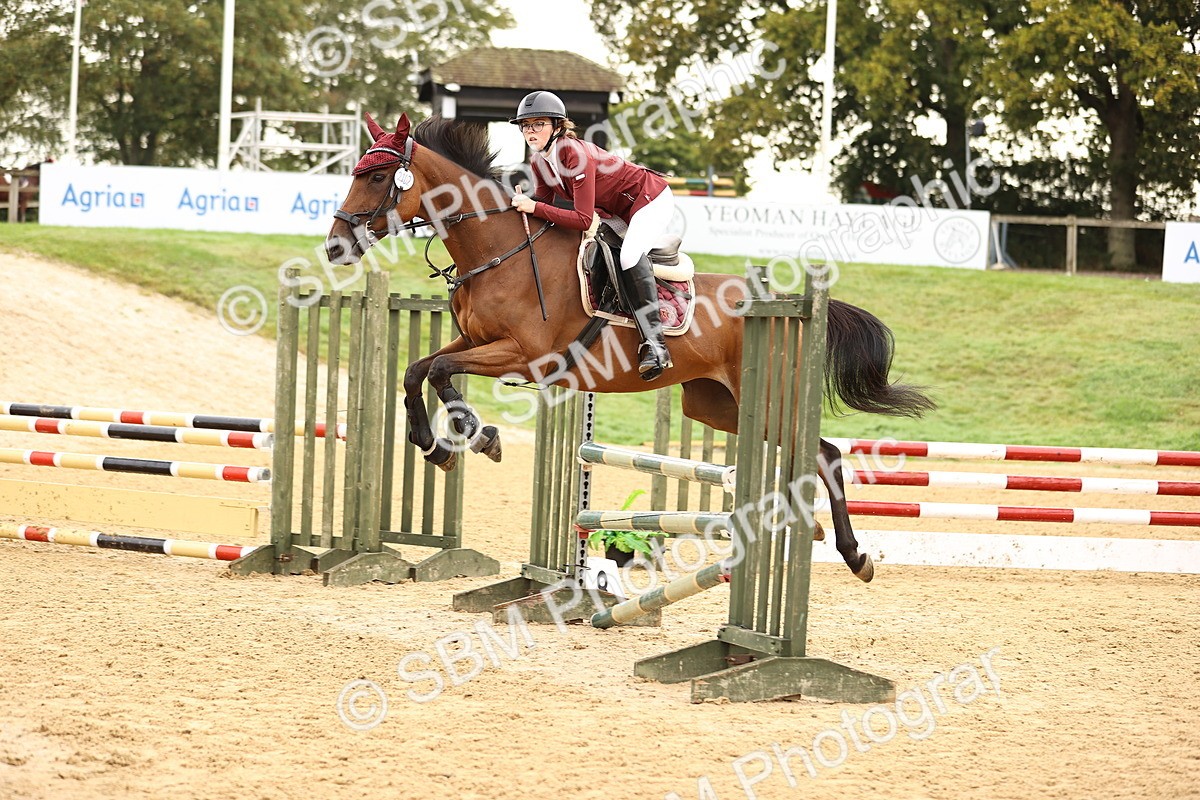 SBM_58348 - J41 - Grand Tour Horse & Pony 95cm