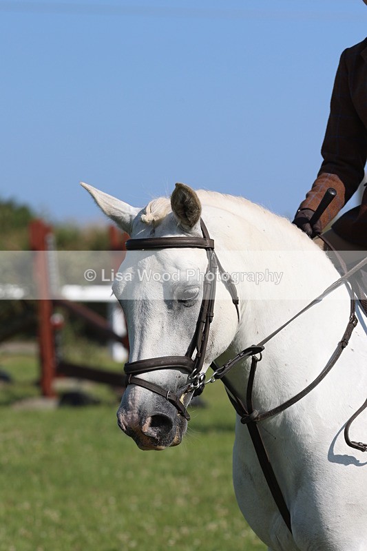 JPP_1486 - Class 18: Cornish Combination Young Rider