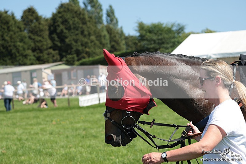 PtP 250526 157 - Albrighton & Woodland PtP Chaddesley Corbett 25/05/26