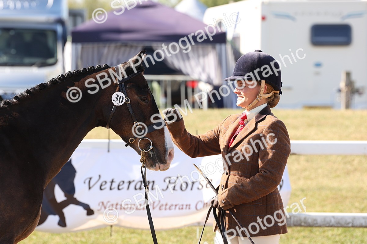SBM_12846 - Class 205 - IH Show Pony - Show Hunter Pony