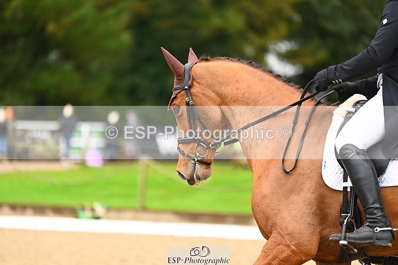 231021-120229-15050 - 345-THE.PREACHER.MAN-David.Doel-DR