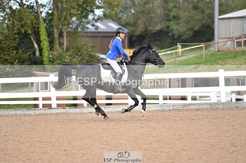 231015A-134018-08391 - Cls 25 95cm Amateur Q 2nd R