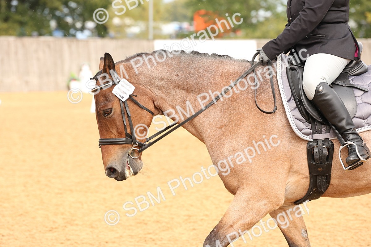 SBM_40595 - D6 - Small Tour Championship Intro 4
