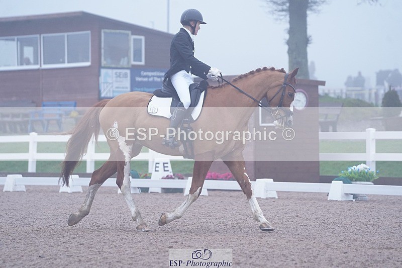 250215-100726-02759 - 182-Laima.Davies-Romero