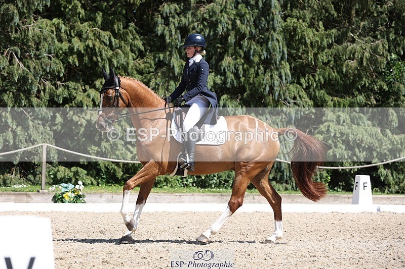 230526-150604-06627 - 378-CLASS_SPEC-Susie_Eddis-WEDTrotUp+DR