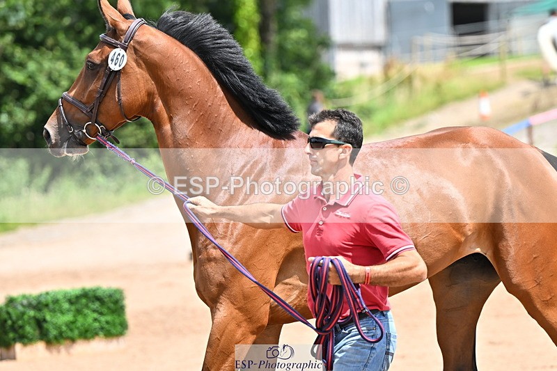 240718A-105307-01594 - Trot Up 1pm to 2pm