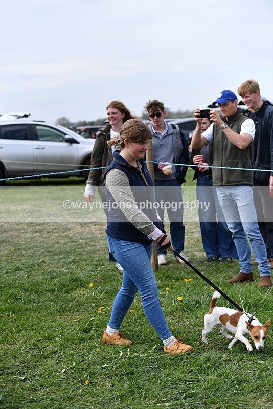 WJ5_0314 - Class 7 Best Terrier