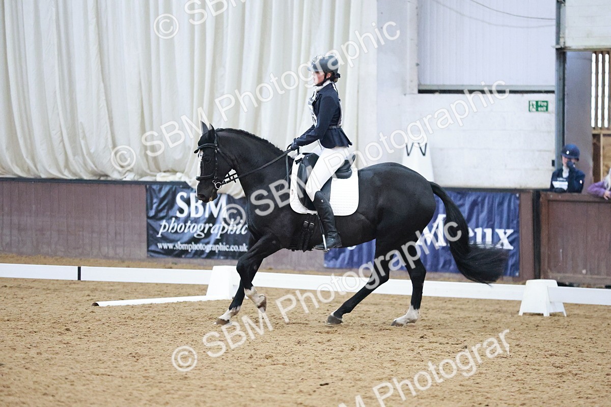 SBM_004626 - Ring 3 - International -  Working Hunter Classes 23-2-25