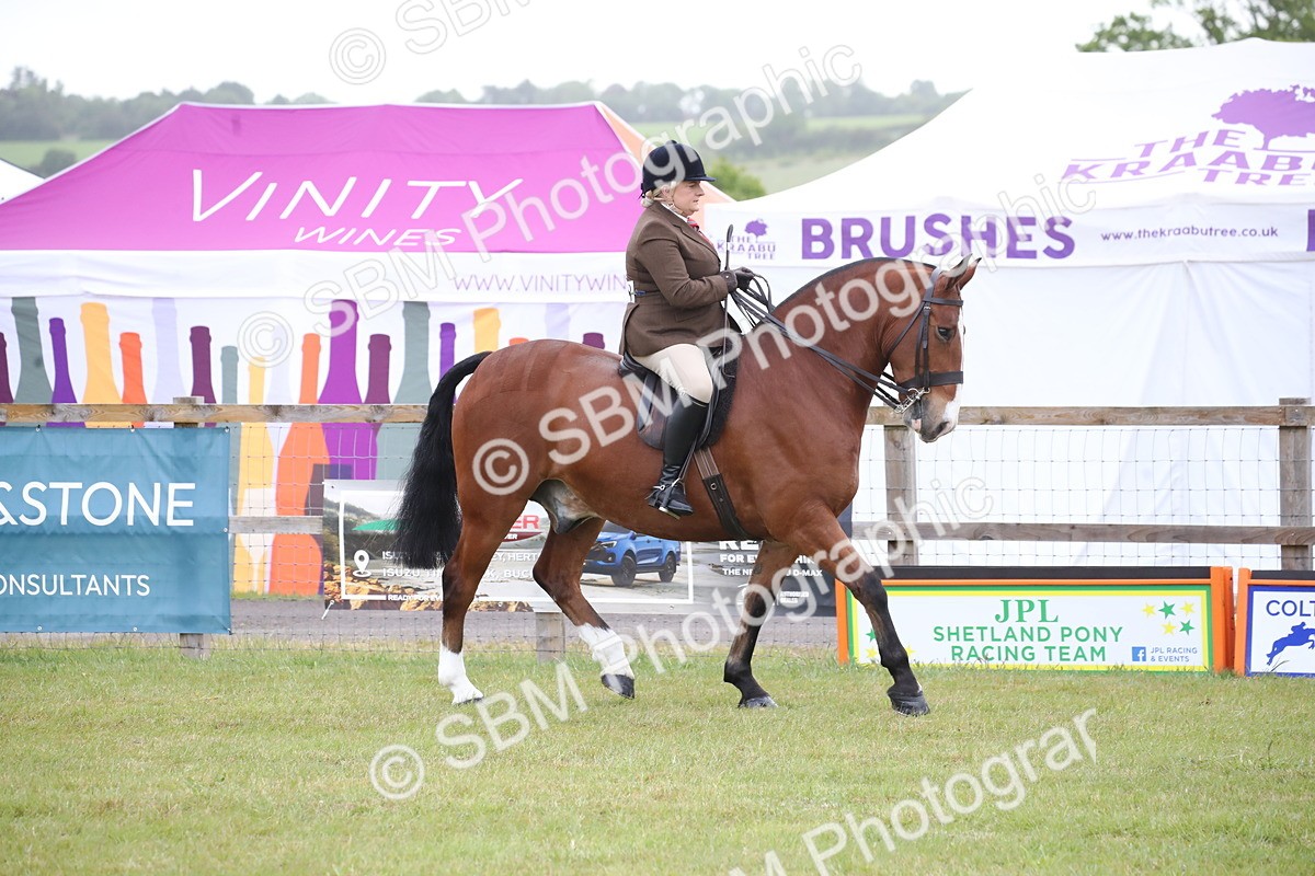 SBM_11046 - Class 92-93 - LIHS BSHA Rising Star Cobs