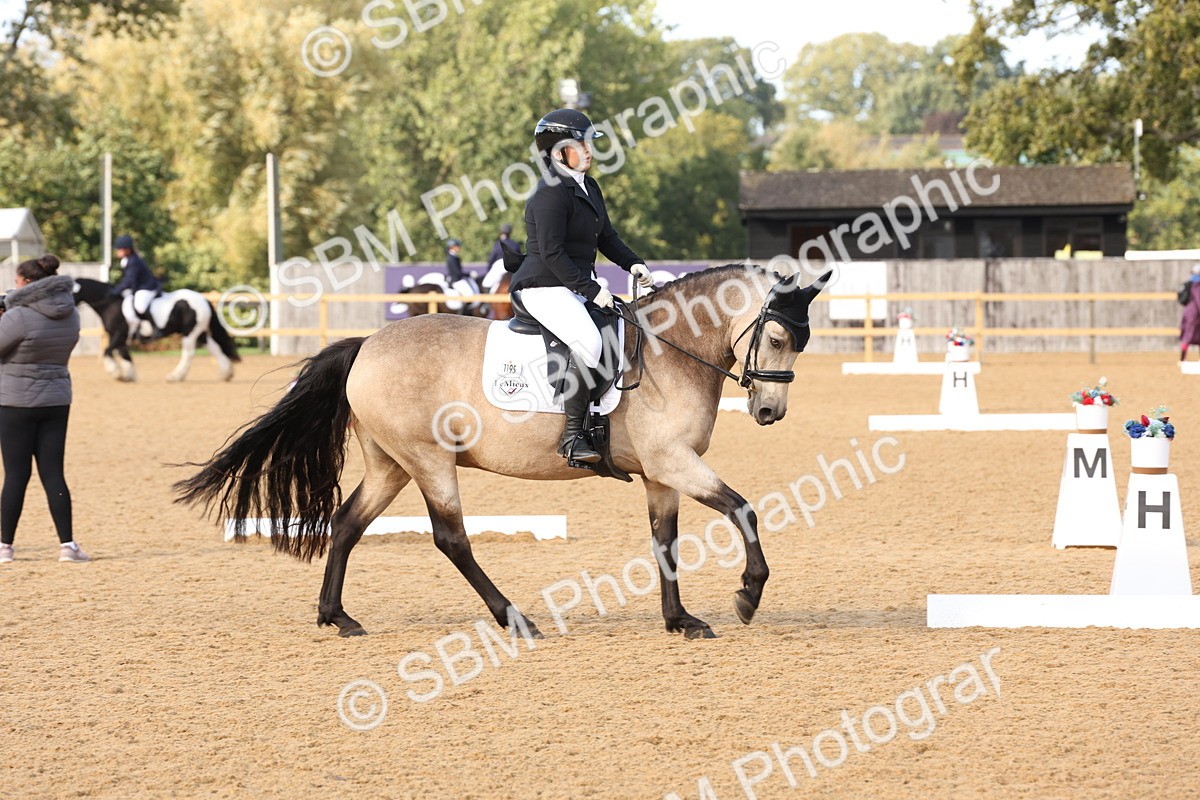 SBM_27039 - D17 - Grand Tour Championship Novice 3