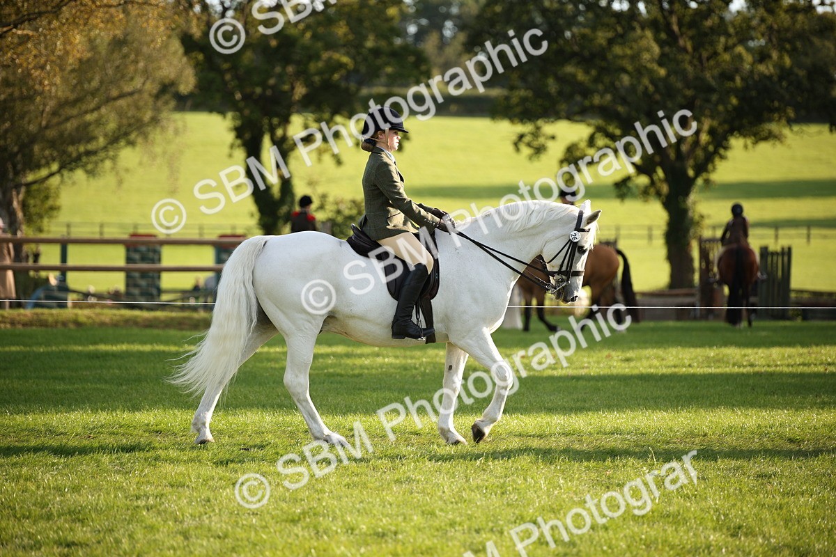 SBM_54368 - S27 - Mature Veteran - Ridden