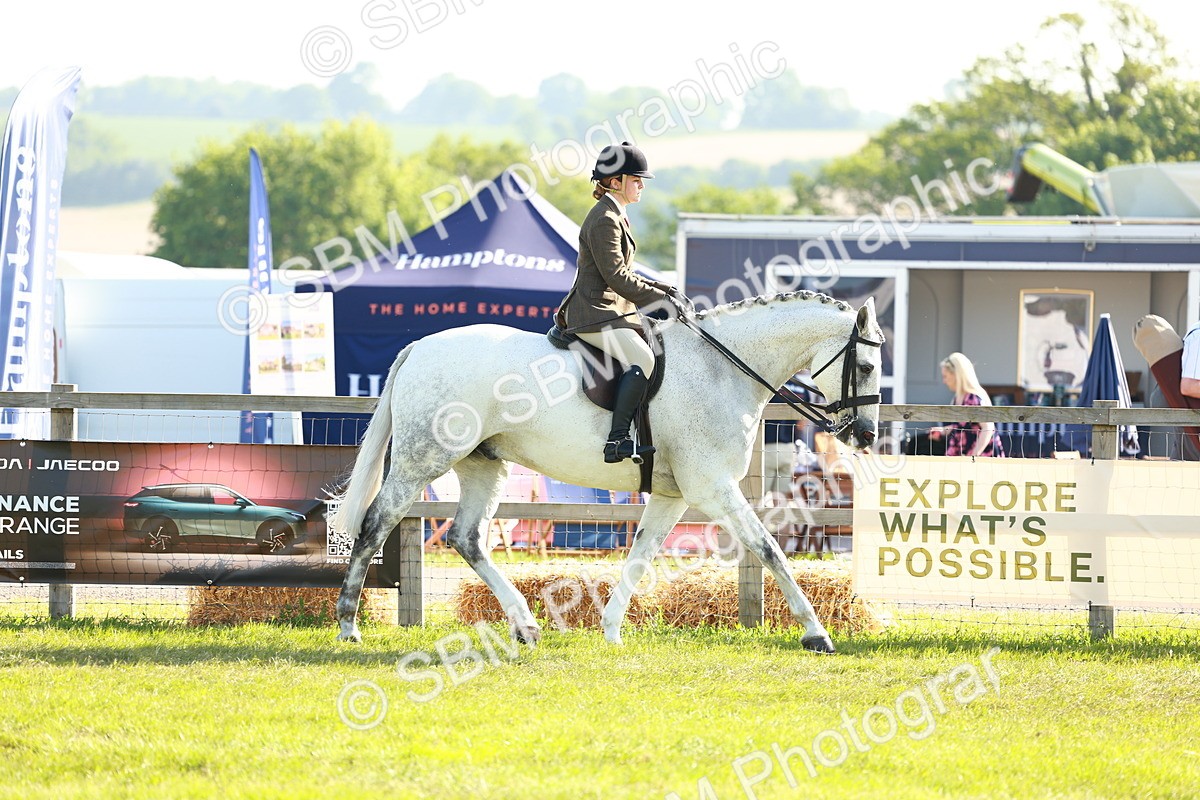 SBM_10887 - Class 66-69 - RIHS Ridden Hunters Inc Small Hunter