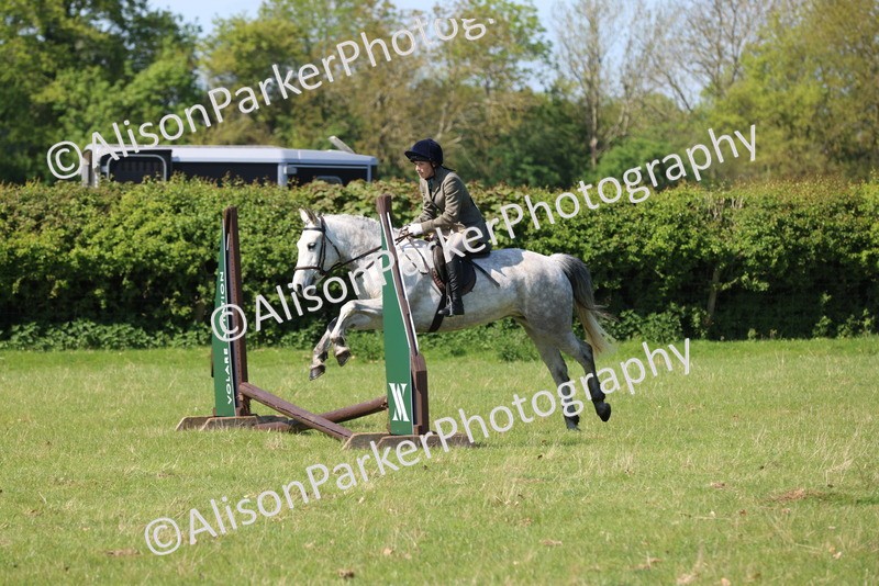20250427-2431 - Class 19 - Mini Working Hunter