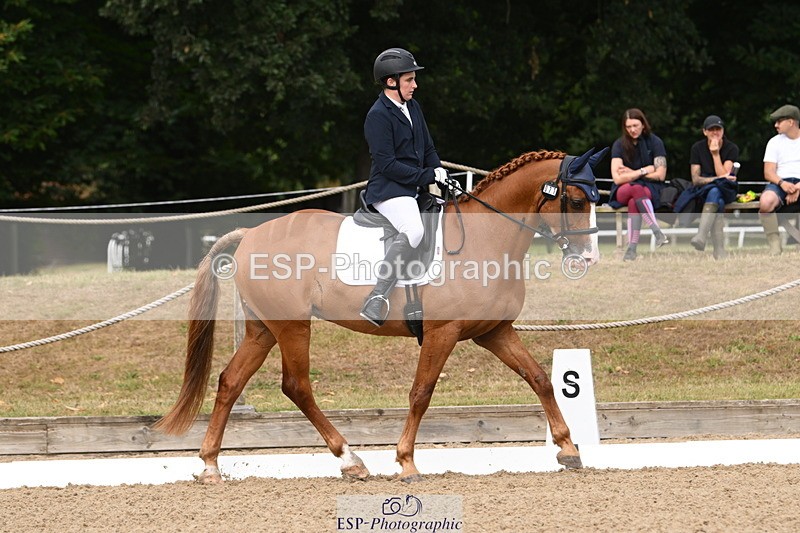 250720A-101319-09456 - 071-Jesse.Poyntz-Wright-Knockaderry.Jack