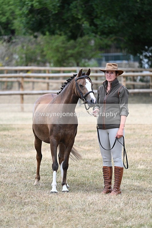 WJ7_1498 - Class 4 Prettiest Mare up to 14.2hh in hand