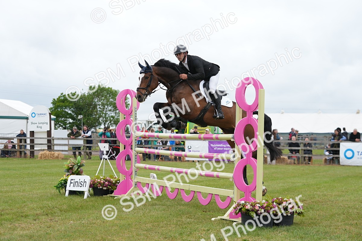 SBM_05179 - Class 201 - British Horse Feeds Speedi Beet Horse of the Year Show Grade  C