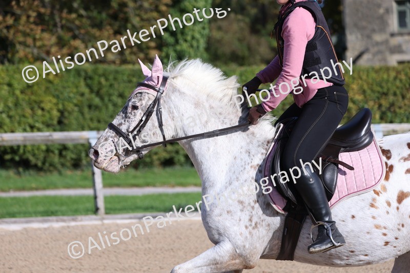 20251005-0118 - Class 2 - 50cm