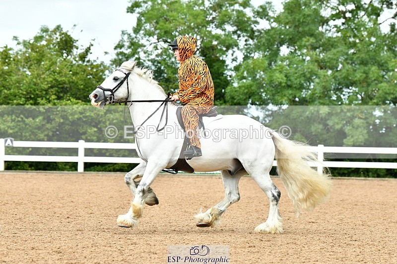 230804A-105922-02099 - Musical Ride
