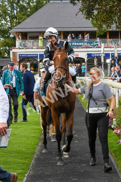 250823-Race 5-Reach-0909 - Race 5 4.10pm Assured Data Protection EBF Fillies' Handicap