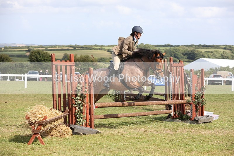 JPP_2660 - Class 20: Working Hunter 70cm