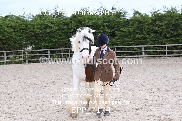 BPP_7174 - RING 1  (RIDDEN HORSES / IN HAND / VETERAN ETC)