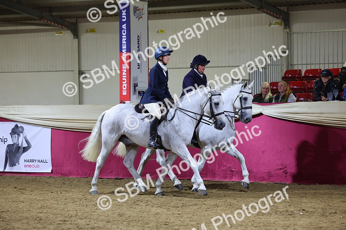 0B8A4305 - Class M Ridden Pairs Champ