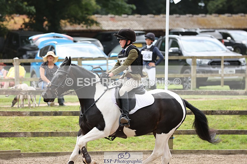 240804-133320-14309 - 555-Jack_Wish-WESTERLAKE_BUTTONWEED