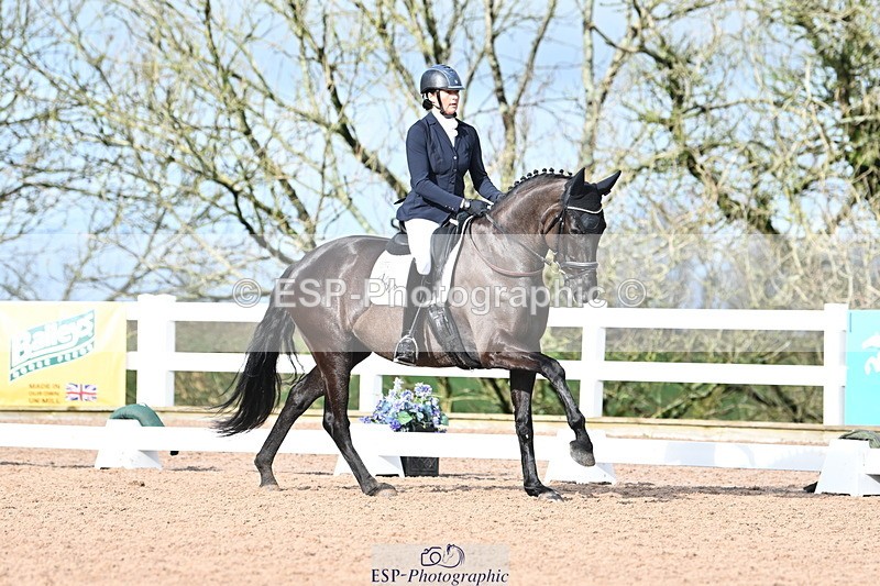 240218A-115848-06944 - 204-Elder.Klatzko-Dynasty.Hit