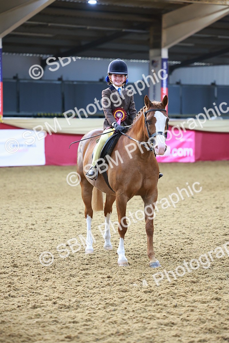 SBM_07755 - Class 101 - HOYS Veteran Qualifier - Ridden Diamond