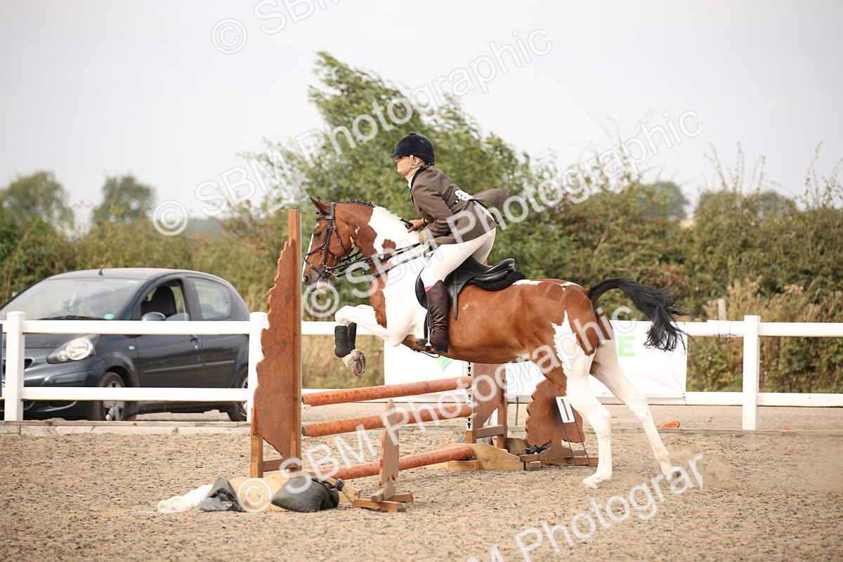 SBM_17125 - Class 409b - Working Veteran 80cm (20+)