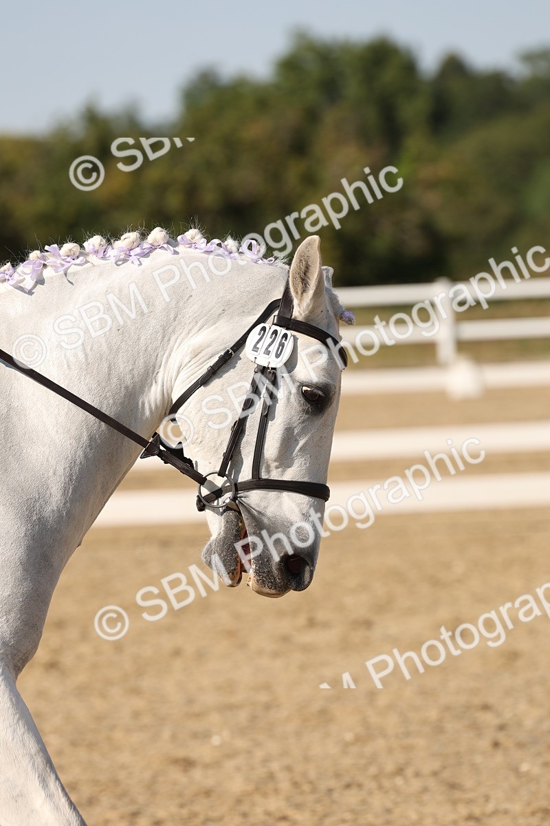 SBM_006906 - Prelim 4 - 15.56-17.51