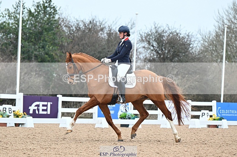 250214-094210-00656 - 161-Maddy.Frewin-Zevrado.Bliss