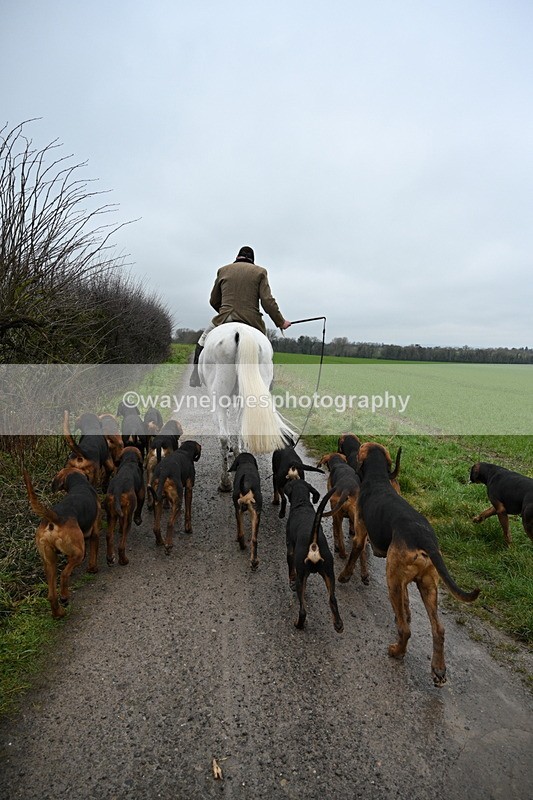 WJ7_9609 - Walk out..