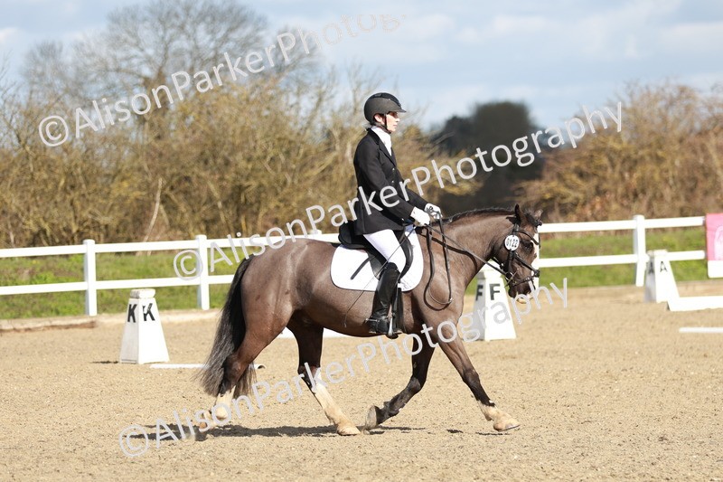 20260314-4344 - DR4 - Prelim 2