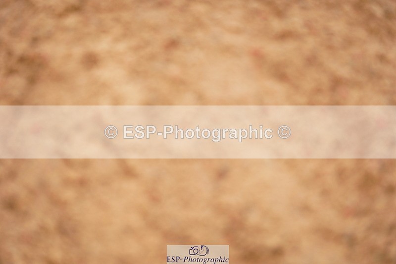 240526A-132046-08332 - Cls 27 Chard Equ May Grand Prix