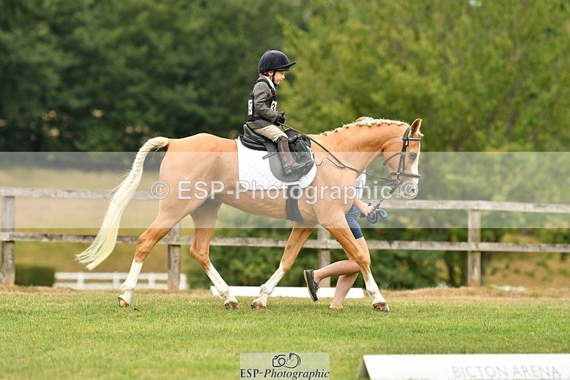 250820A-114722-05289 - 11am to 12