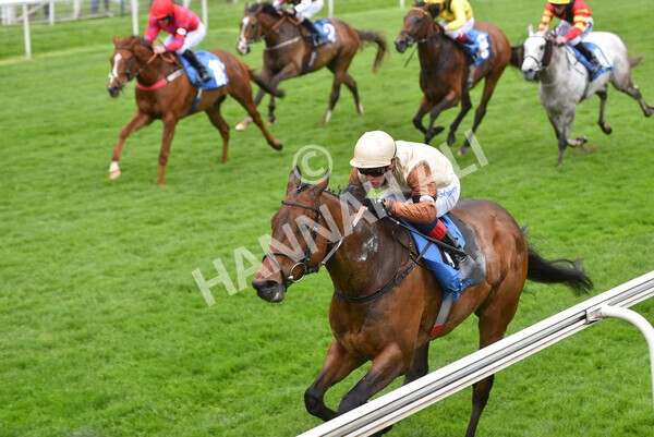 yr22052021r1-32 - Race 1 2.05pm William Hill Pick Your Places Stakes