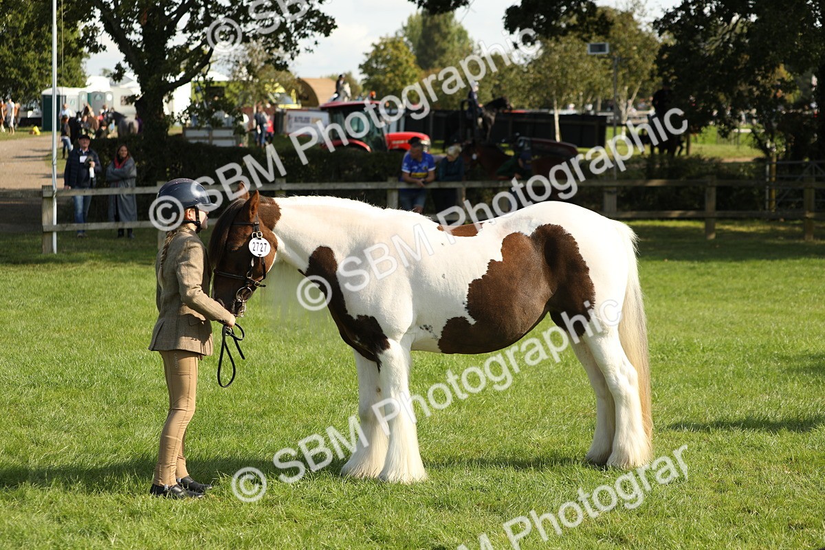 SBM_62340 - S45 - Mini Show Cob In Hand