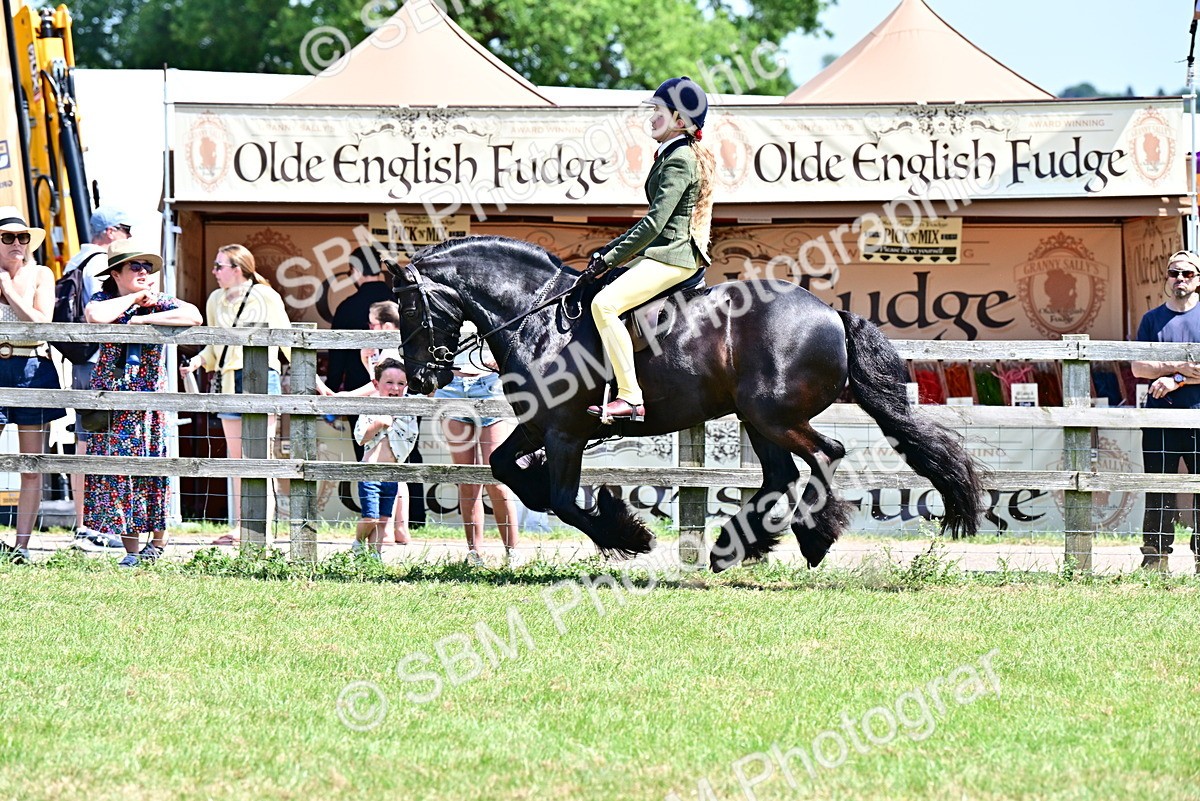 SBM_15326 - Class 95-97 - BSPS LHS Performance Ponies