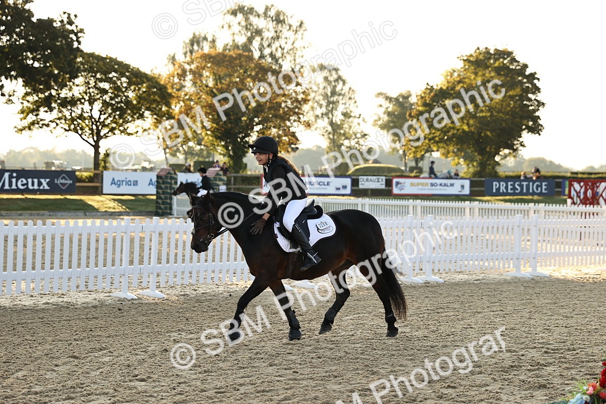 SBM_57067 - J11 - Junior Pony 50cm Championship