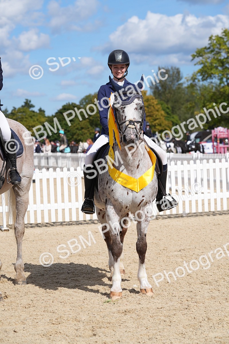 SBM_38904 - J21 - Junior Horse 60cm Championship