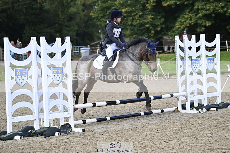 251005A-085621-02895 - Cls 02 GR 50cm