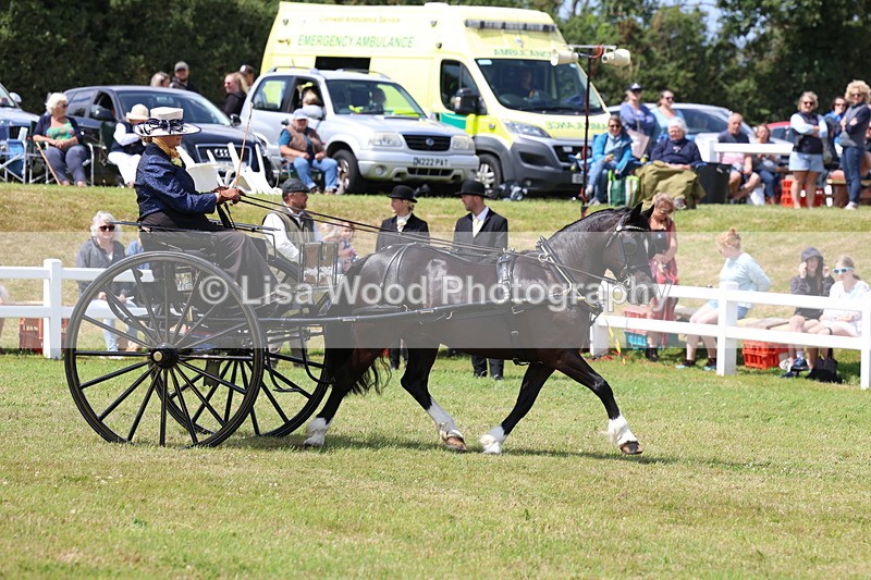 3E7A2690 - Class 12: Open Driving