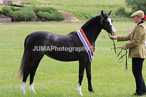 SIAL7497 - Ring 1