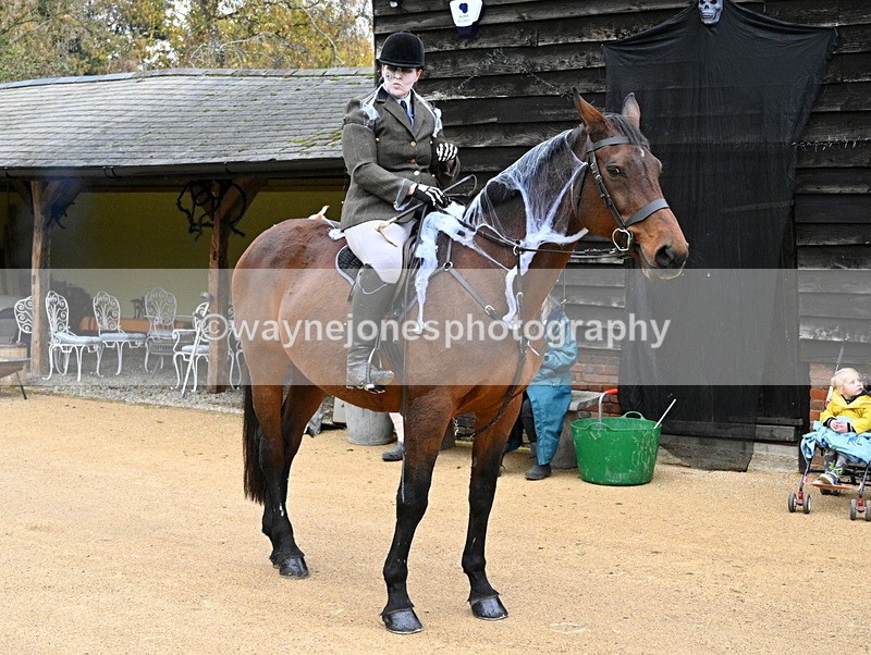 WJ7_6161 - Berks & Bucks - Children's Meet - The Old Farmhouse – Steventon.