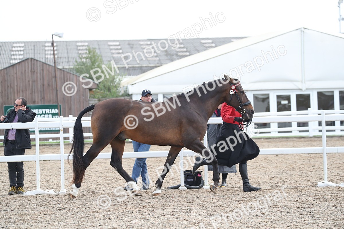 SBM_23066 - Class 605 - 2025 Area - IH Veteran